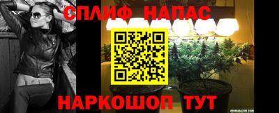 сатива Сланцы