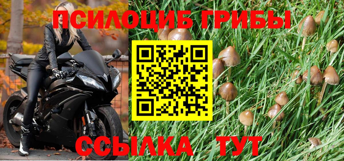 Псилоцибиновые грибы мухоморы  где продают наркотики  Белово  Вход с VPN 