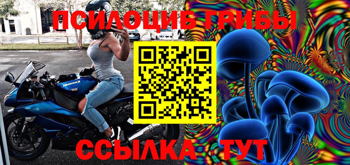 Псилоцибиновые грибы Magic Shrooms Белово
